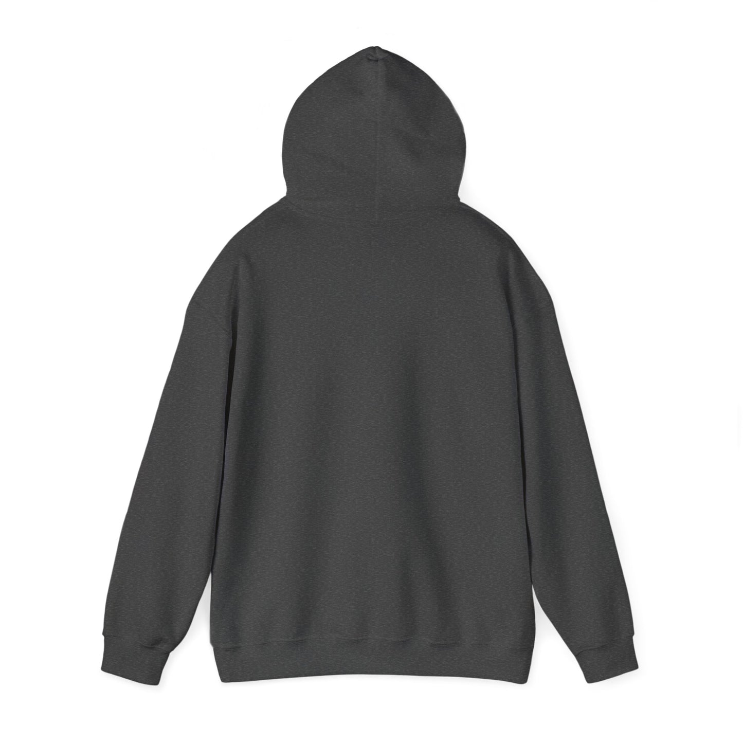 Physician Recommended (Unisex Heavy Blend™ Hooded Sweatshirt)